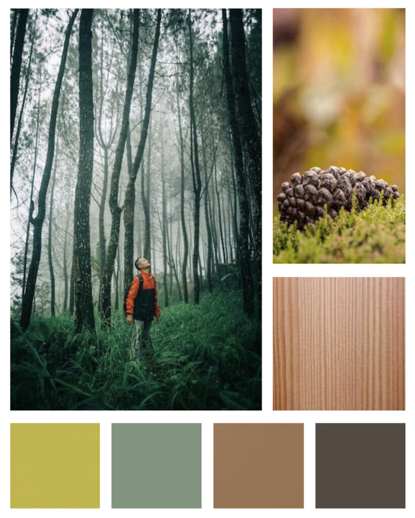 Timbercab Woodland Mood Board
